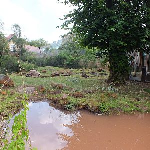 Galapagos Giant Tortoise Outdoor Enclosure