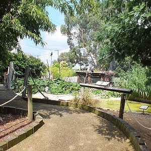 View Inside Bird Safari Aviary
