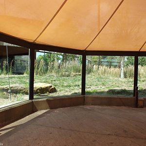 View of Part of Tiger Territory