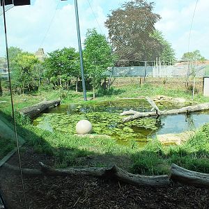 View of Part of Tiger Territory