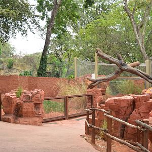 Emu & Perentie exhibit