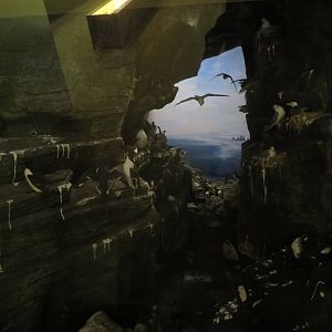 Natural History Museum Bern - Nordic panorama