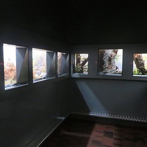 Natural History Museum Bern - Swiss diorama