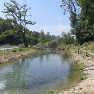 European beaver enclosure with low water level