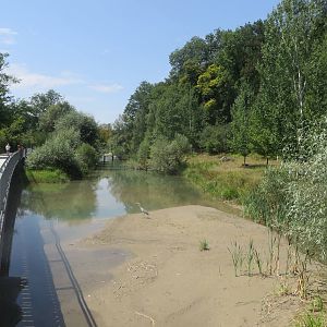European otter enclosure with low water level