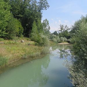 European otter enclosure with low water level