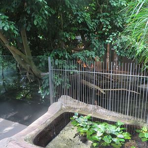 Vivarium - crocodile enclosure
