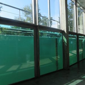 Vivarium - seal underwater viewing