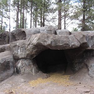 Drive-Through Section: Grey Wolf Den