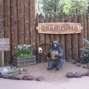 Entrance to Walk-Through Area