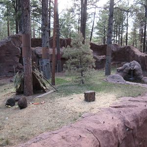 North American Porcupine Exhibit