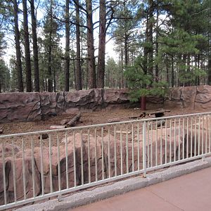 American Badger Exhibit