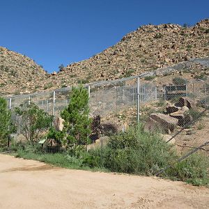 Bengal Tiger Exhibit