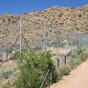 Empty Exhibit (former Cougar exhibit)