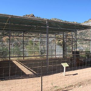 Bengal Tiger Exhibit - holding cage