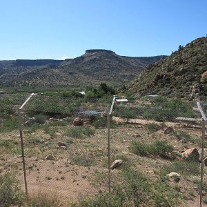 3.5 Acre Bengal Tiger Exhibit (home to 5 tigers)