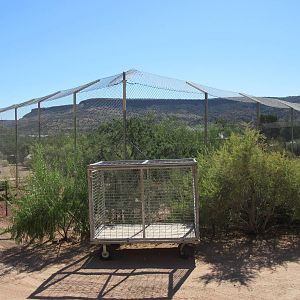 Bengal Tiger Exhibit (and one of several transport cages)