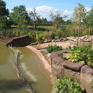 Visayan Warty Pig enclosure