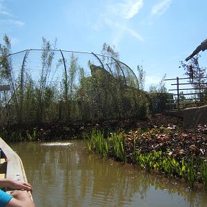 Sumatran Tiger enclosure