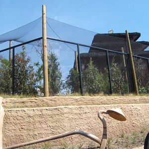 View of Bali Bird Temple