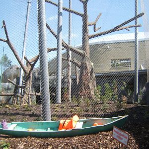 Sumatran Orang enclosure