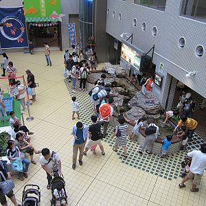 A very busy touching pool