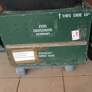 Crate for an arrival