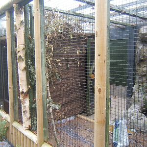 Work on the aviary block