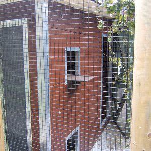 New heated indoor shed in the Aviary block