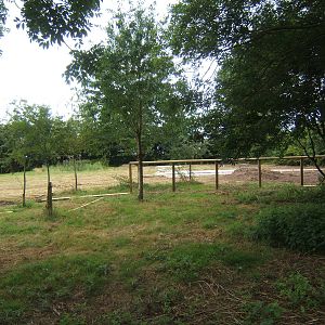 View of work on the new extension