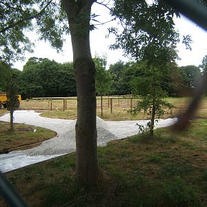 View of work on the new extension