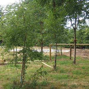 View of work on the new extension