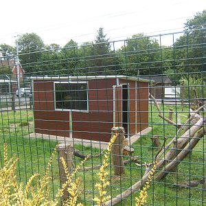 View of new Ring-tailed Lemur House