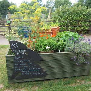 Herb Garden for rabbits