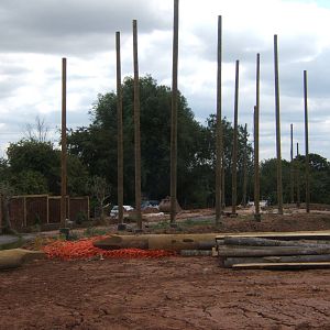 View of work on new Gibbon complex