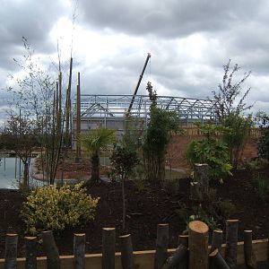 View of work on new Gibbon complex