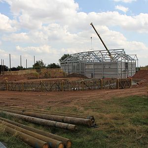 New gibbon enclosure. 8-8-15
