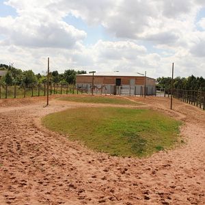 Giraffe enclosure from far end viewing platform. 8-8-15