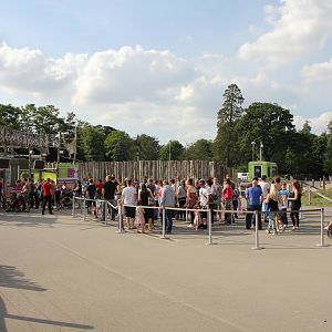 Queue for Safari night at 5-30pm 8-8-15