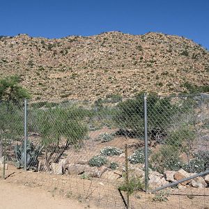 11-Acre Mule Deer/Fallow Deer/Ostrich Exhibit