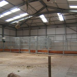 View of Giraffe House