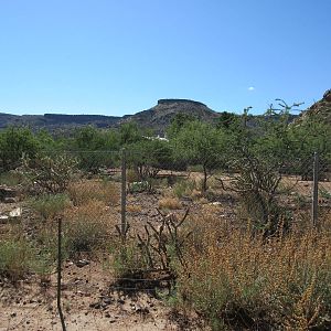 11-Acre Mule Deer/Fallow Deer/Ostrich Exhibit