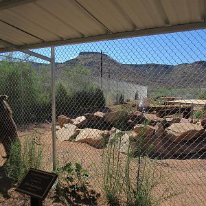 Grizzly Bear Exhibit