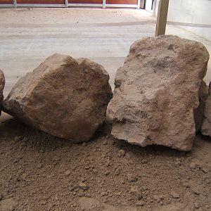 View of Giraffe House