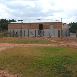 View of Giraffe House