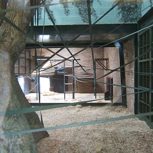 View of the new Orang-Utan Housing