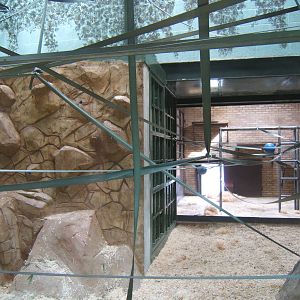 View of the new Orang-Utan Housing