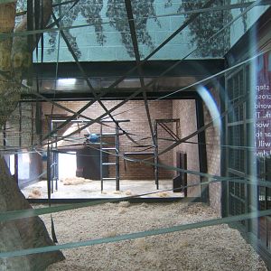 View of the new Orang-Utan Housing