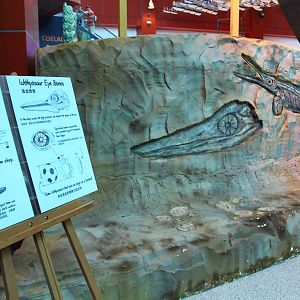 SEA Aquarium - Sea Monsters Past and Present (seasonal display)