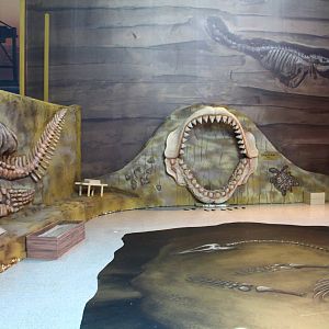 SEA Aquarium - Sea Monsters Past and Present (seasonal display)